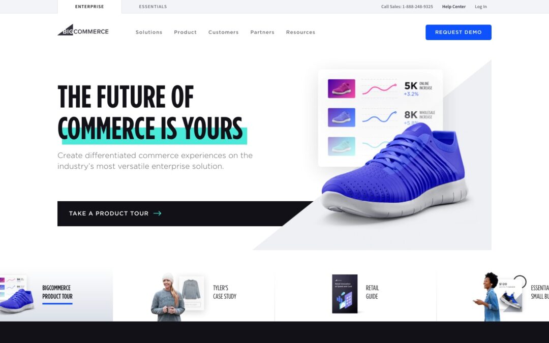 Ecommerce Website